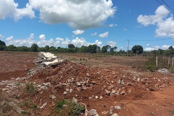Vụ thanh niên rải tiền cho đất ăn, Chủ tịch Bà Rịa-Vũng Tàu chỉ đạo hỏa tốc-1