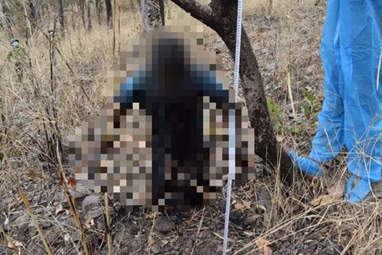 Vợ cùng tình nhân sát hại chồng rồi dựng hiện trường giả vụ tự tử