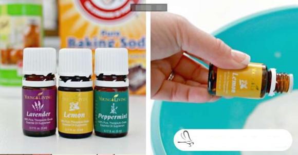 Tôi đã không cọ bồn cầu kể từ khi làm một lọ bom toilet theo hướng dẫn, kết quả bồn cầu luôn sạch bong và rất thơm tho-1