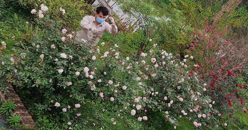 Không gian sống như resort của gia đình Xuân Bắc-11