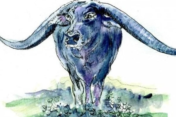 Tử vi định sẵn: 3 con giáp hết Tam Tai giàu có thành công thu về bạc tỷ trong 5 năm tới-2