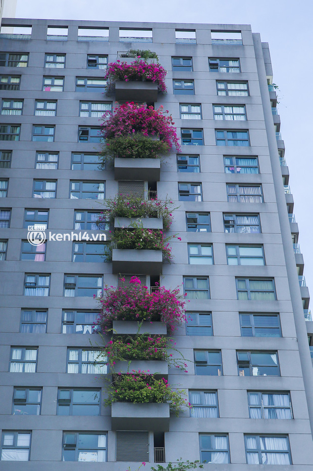 Theo dấu Hiền Hồ suốt 1 tuần thị phi bùng nổ, xế hộp 13 tỷ phủ bạt kín mít dưới hầm chung cư còn chủ xe đã ở đâu?-6