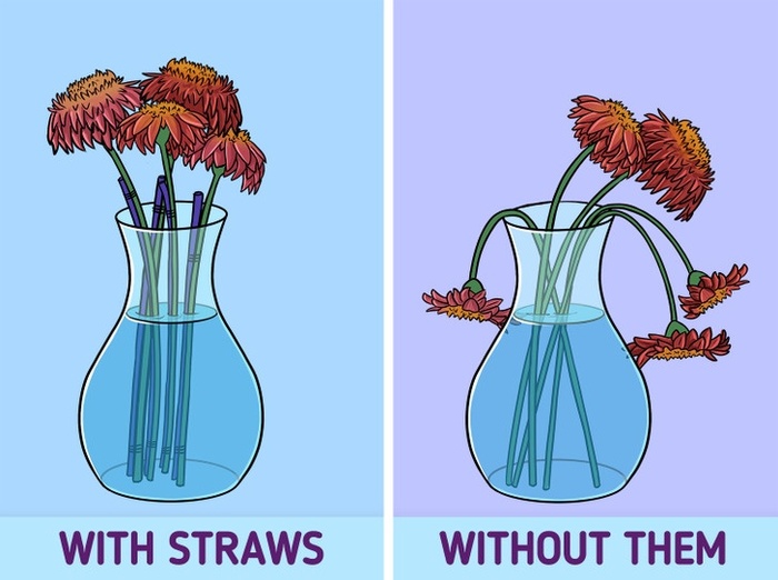 10 mẹo cực hay giúp việc nhà trở nên dễ dàng hơn hẳn, nhiều người chưa hề biết-7