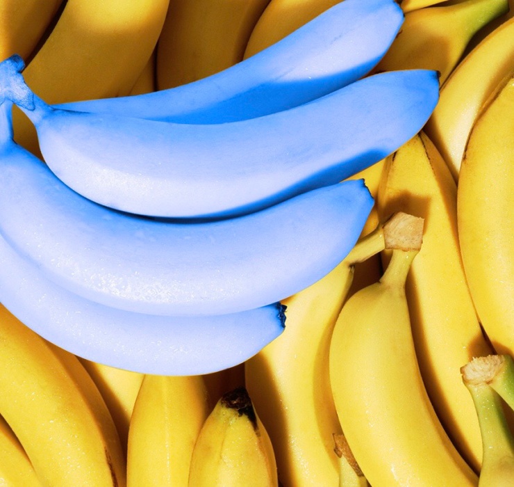 Chuối xanh lam, táo đen và những loại quả lạ chưa thể trồng ở Việt Nam-1