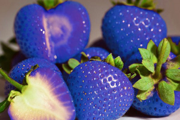 Chuối 5.000 đồng, thanh long 4.000 đồng/kg chất đống đầy vỉa hè-4