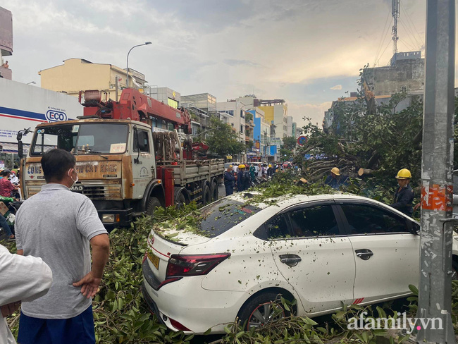 TP.HCM: Cây đa cổ thụ cạnh Bệnh viện Ung bướu bật gốc trong mưa lớn đè trúng 2 ô tô, nhiều người may mắn thoát chết-2