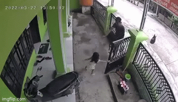 Khoảnh khắc gây sốc: Bé gái đang chơi ngoài sân, gã đàn ông lạ mặt xông vào gần gũi, làm ra hành vi khủng khiếp khiến cha mẹ chết sững-1