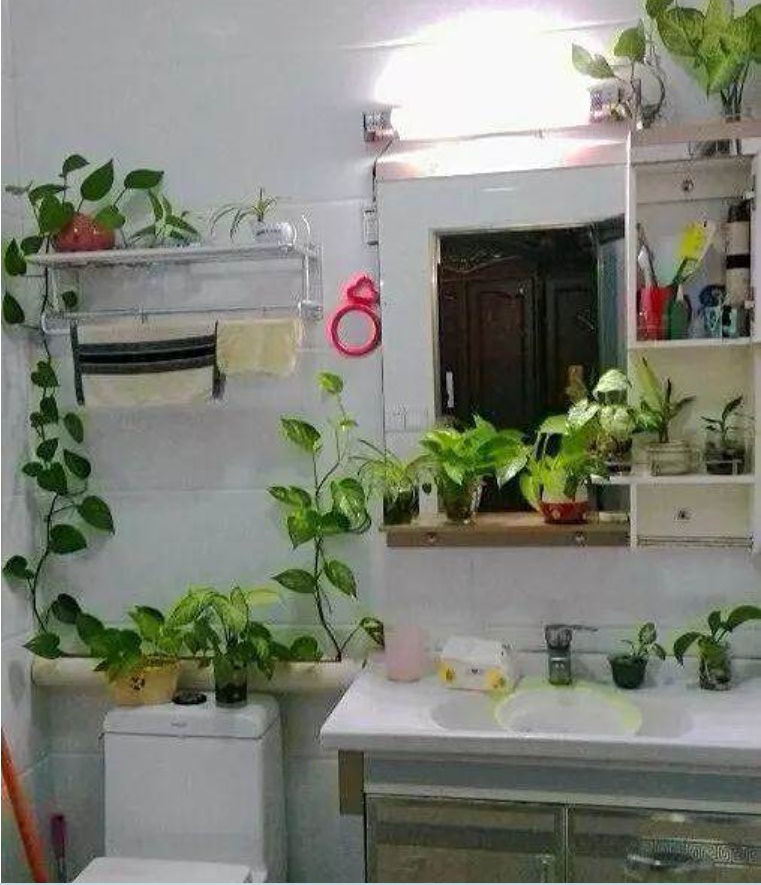 Phải làm gì nếu nhà tắm quá nặng mùi? Mách bạn kỹ năng này, không cần tốn tiền mà vẫn sạch mùi hôi-5