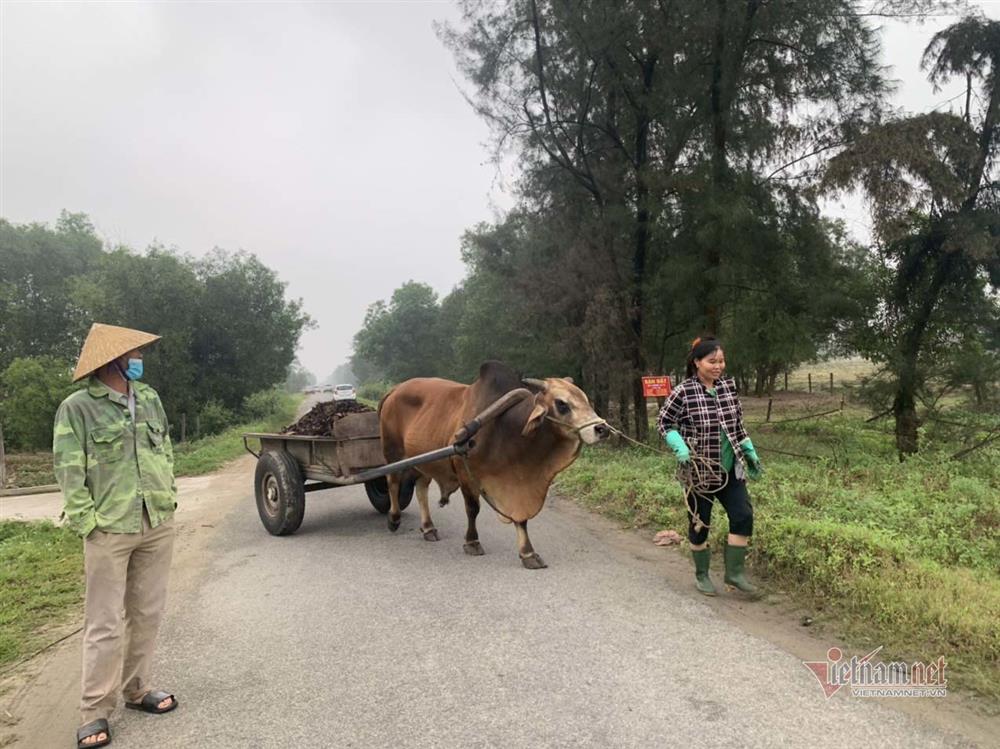 Cò vây, lùng đất xuyên ngày đêm, dân đóng cửa vì mệt mỏi-7