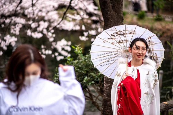 Mùa hoa anh đào nở trên khắp thế giới-1