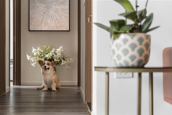 MC Cà phê sáng hé lộ không gian sống&nbsp;sang trọng hiện đại,&nbsp;decor nội thất gỗ nâu&nbsp;ấm cúng-14