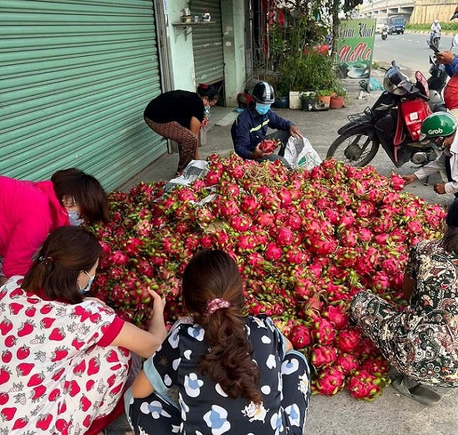 Hoa quả rớt giá rẻ như cho, riêng loại quả này đắt gấp 5 lần vẫn cháy hàng-1