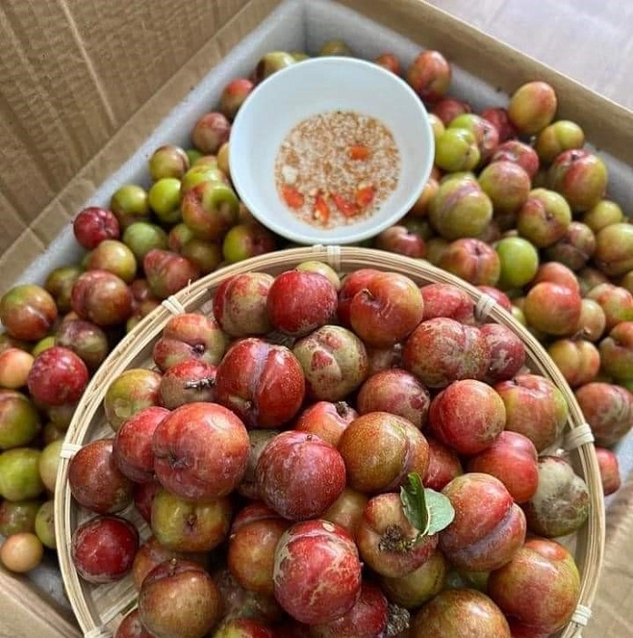 Hoa quả rớt giá rẻ như cho, riêng loại quả này đắt gấp 5 lần vẫn cháy hàng-3