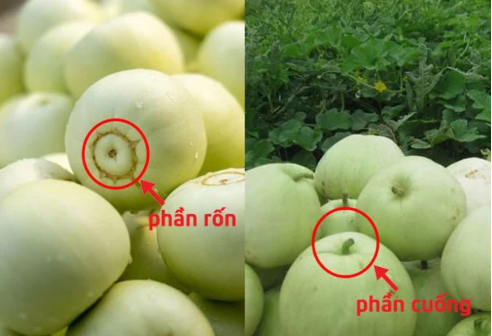 Mua dưa lê muốn chọn quả ngọt lịm không khó, chỉ cần dựa vào 4 điểm này-1