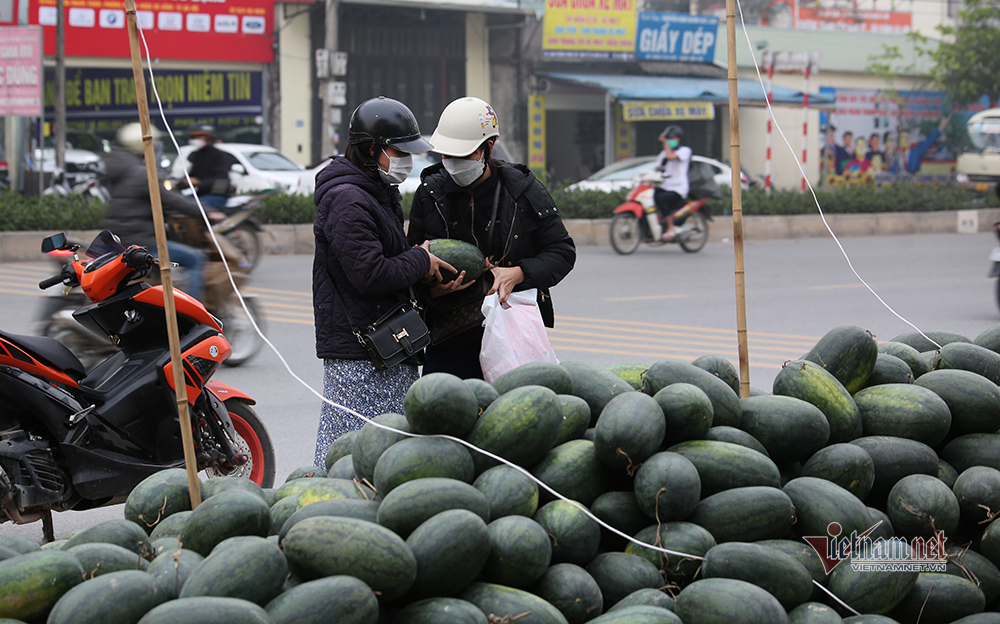 Dưa hấu nằm lăn lóc vỉa hè Hà Nội chờ giải cứu-11