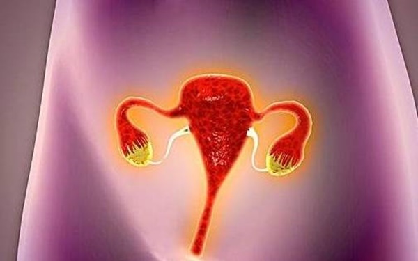 Tử cung không thích 5 loại trái cây, ăn nhiều sẽ càng lạnh, phụ nữ 30 tuổi nên dùng 2 thức uống để tử cung sạch, ngừa bệnh phụ khoa-5