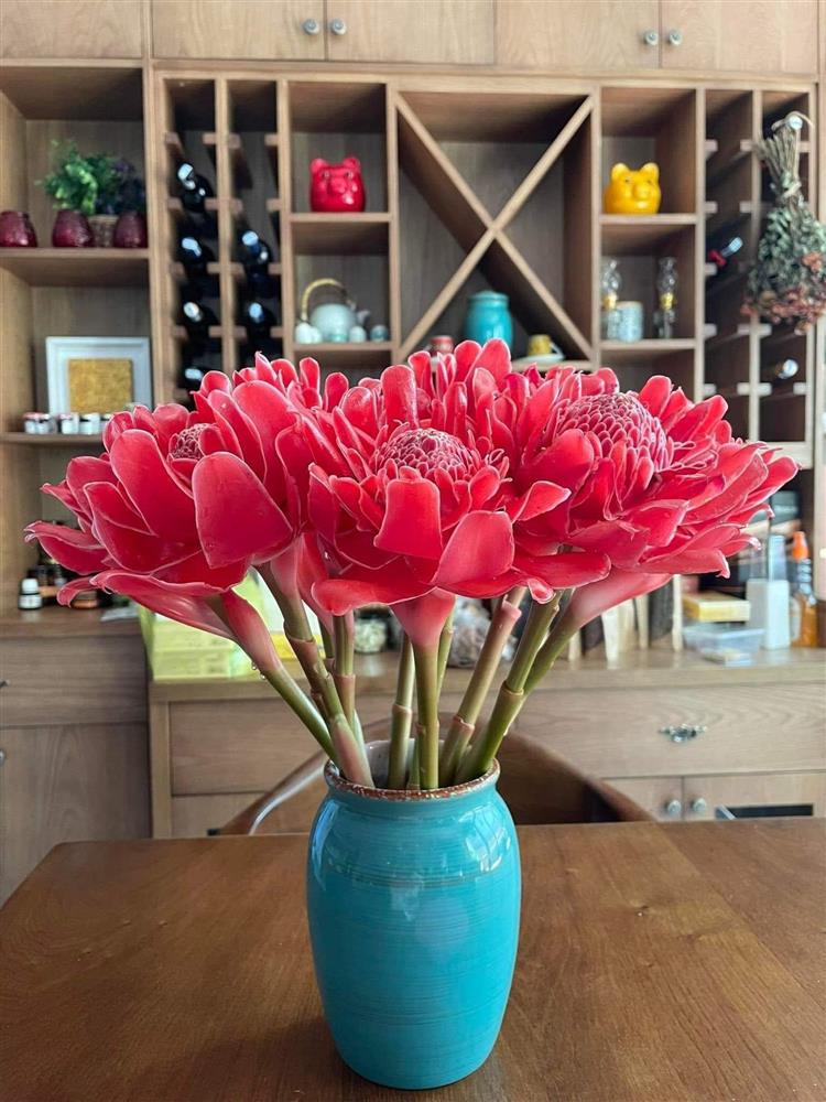 Sen nhưng không sống trong nước - loại hoa mới lạ siêu hút khách, muốn mua phải đặt trước cả tuần-6