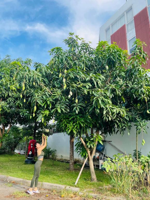 Ốc Thanh Vân khoe vườn cây trĩu trái trong biệt thự sau thời gian vun trồng-2