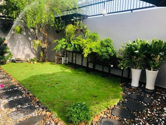 Ốc Thanh Vân khoe vườn cây trĩu trái trong biệt thự sau thời gian vun trồng-7