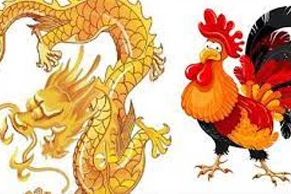 4 cặp con giáp có mệnh cực hợp nhau, ‘về chung một nhà’ không thắng, giàu sang 3 đời