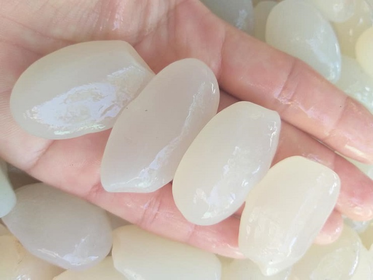 Loại hạt mọc dại trong rừng thành đặc sản, chị em lùng mua về làm đủ món-3