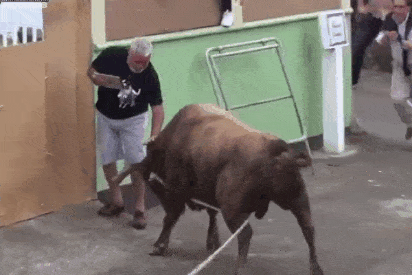 Người đàn ông bị bò húc chết tại lễ hội đua bò Tây Ban Nha-2