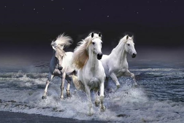 Tháng 3 âm lịch đến, những người sinh vào ngày sau đón cơ hội đổi đời, không gặp quý nhân thì cũng gặp thần tài-4