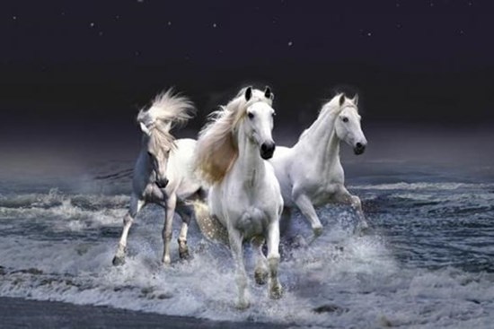 Tử vi 12 con giáp thứ 6 ngày 1/4/2022: Tuổi Mùi có điểm sáng tài lộc, Ngọ gặp nhiều bất trắc