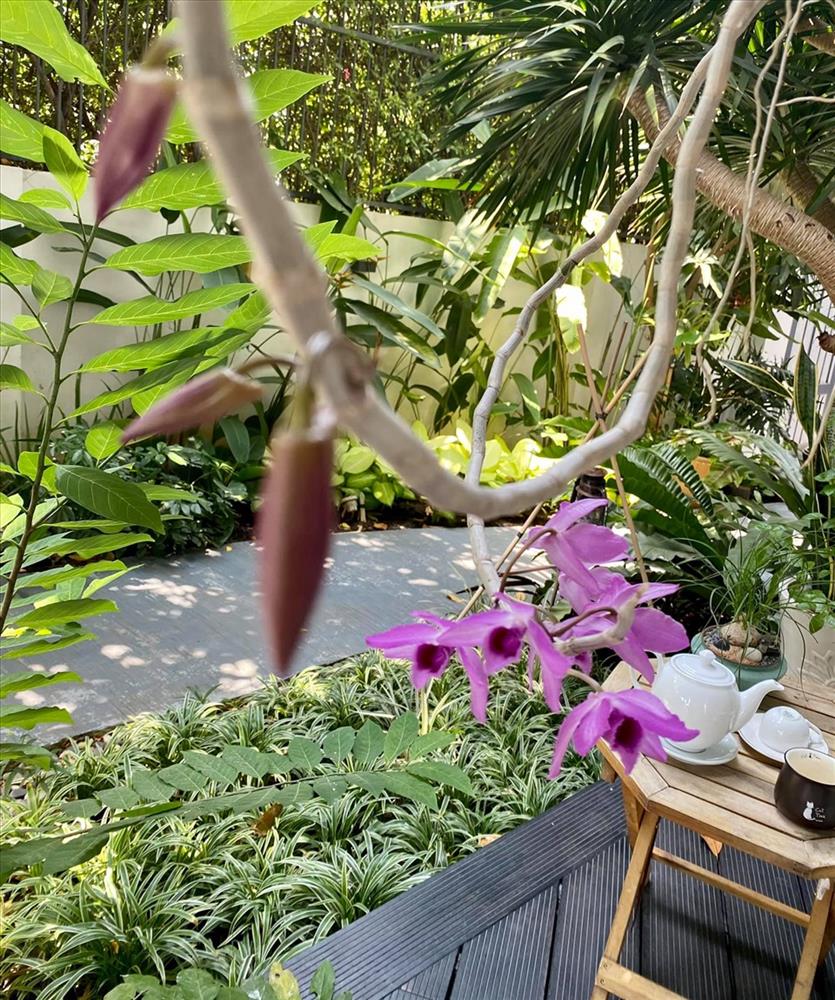 Không gian xanh mướt khiến vợ chồng Lý Hải - Minh Hà quyết rời bỏ ngôi nhà 2 triệu đô ra ngoại thành sinh sống-33