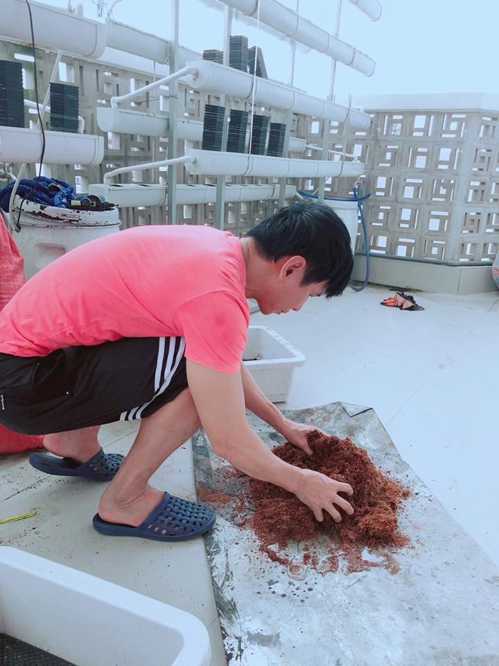 Không gian xanh mướt khiến vợ chồng Lý Hải - Minh Hà quyết rời bỏ ngôi nhà 2 triệu đô ra ngoại thành sinh sống-38