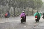 CLIP: Gió mùa Đông Bắc như bão ở Phú Yên, người té ngã, hoa tả tơi-3