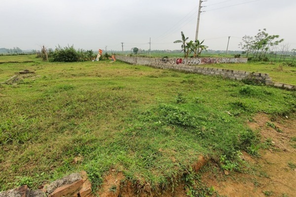Giá đất tăng phi mã, giật mình tiết kiệm 5 năm không mua nổi miếng đất quê-1