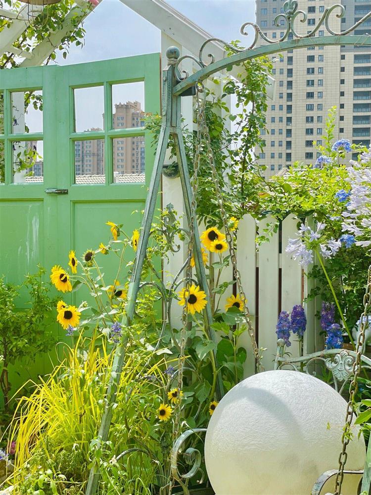 Mẹ đảm khéo biến sân thượng thành khu vườn bốn mùa khiến hàng xóm sang chơi khen không ngớt lời-8