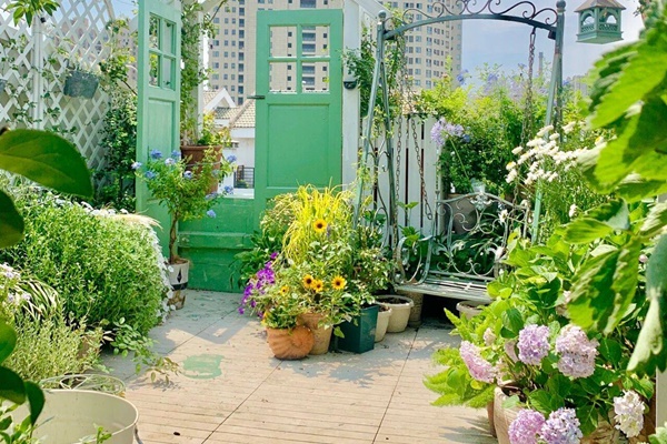 Bà mẹ trẻ trồng cả vườn hồng trên sân thượng rộng 33m²-19