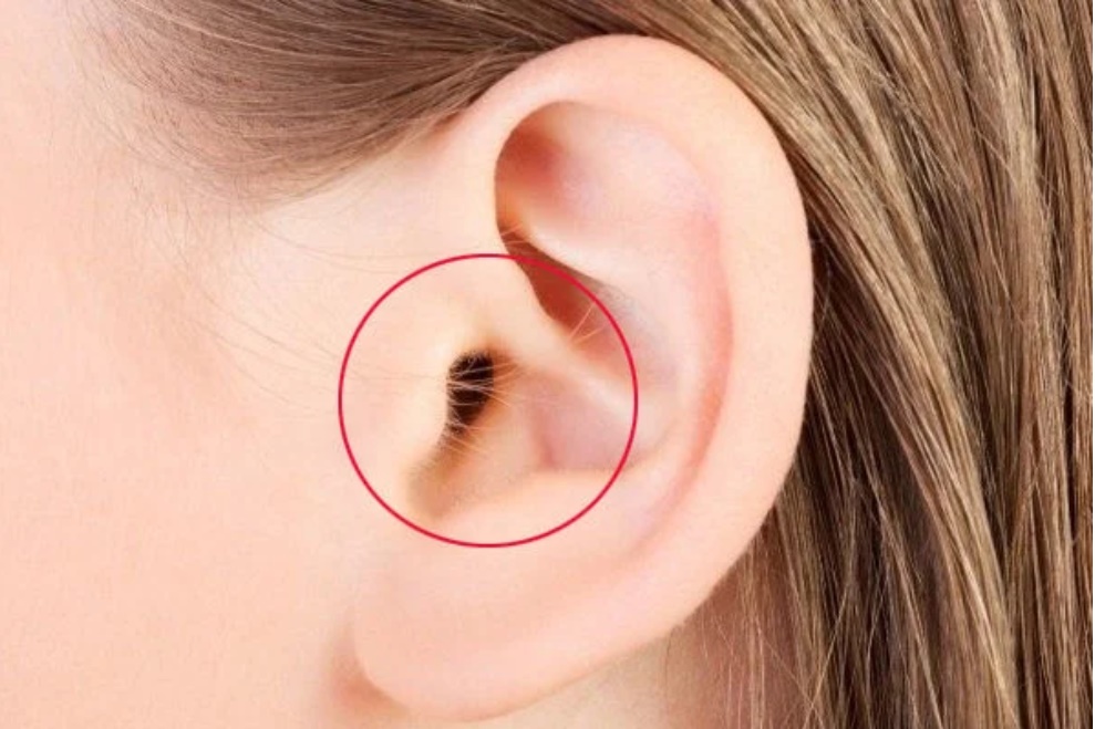 Dù là nam hay nữ, có 4 vị trí lông càng mọc nhiều càng phát tài, phú quý tự tìm đến-4