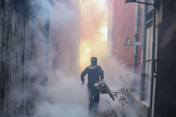 WHO cảnh báo mầm bệnh từ côn trùng có thể gây đại dịch tiếp theo-1