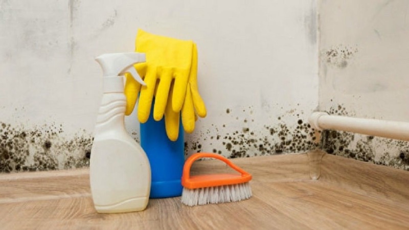 Cách diệt nấm mốc hiệu quả, an toàn từ những nguyên liệu giá rẻ, nhà có trẻ nhỏ nên biết sớm-1