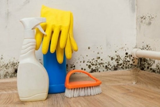 Cách diệt nấm mốc hiệu quả, an toàn từ những nguyên liệu giá rẻ, nhà có trẻ nhỏ nên biết sớm