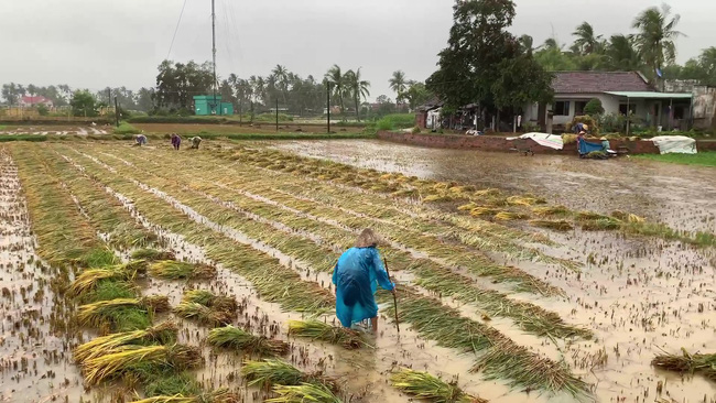 Mưa lớn dị thường vượt kỷ lục nhiều năm ở miền Trung: 2 người chết và mất tích, hàng trăm ghe thuyền bị nhấn chìm-2