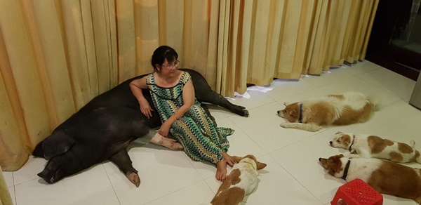 Ca sĩ Ánh Tuyết: Bỏ showbiz ở ẩn, tuổi già bệnh tật nhưng giàu có, sở hữu biệt thự 7000m2-11