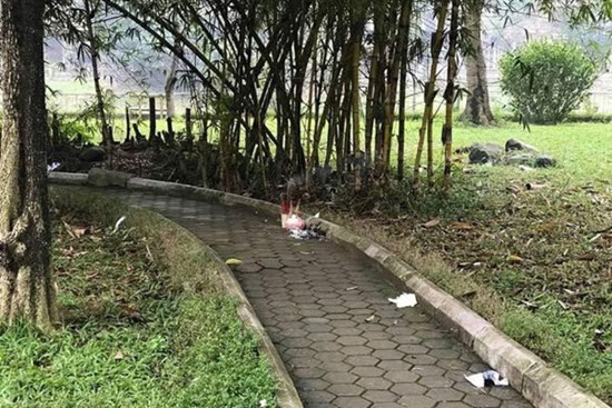 Ba ngày truy tìm kẻ giết người để quỵt nợ