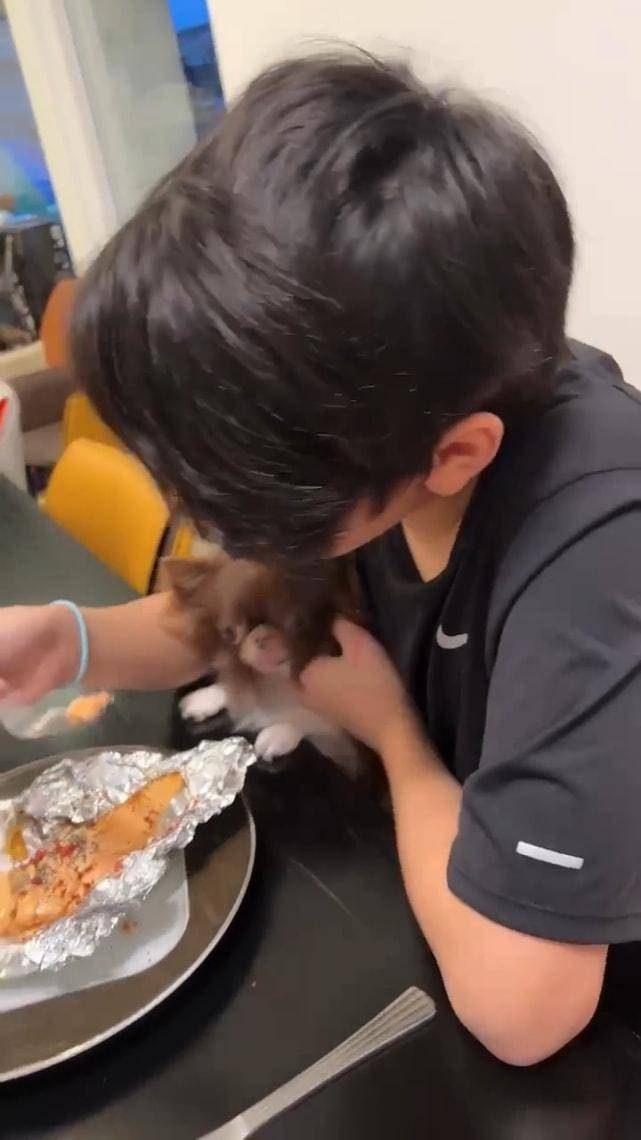 Con trai thứ 2 của Trương Bá Chi gây ngỡ ngàng với ngoại hình ở tuổi 12 giống như tạc tượng với Tạ Đình Phong-2