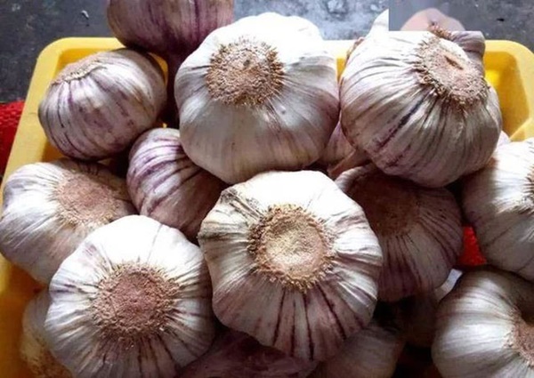 Tế bào ung thư sợ nhất 6 loại thực phẩm có tính kiềm, ăn thường xuyên chẳng lo bệnh tật gõ cửa, đặc biệt chúng rất rẻ-2