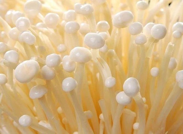 Tế bào ung thư sợ nhất 6 loại thực phẩm có tính kiềm, ăn thường xuyên chẳng lo bệnh tật gõ cửa, đặc biệt chúng rất rẻ-5