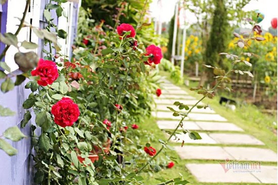 Phát hiện chồng ngoại tình trong căn biệt thự bỏ hoang