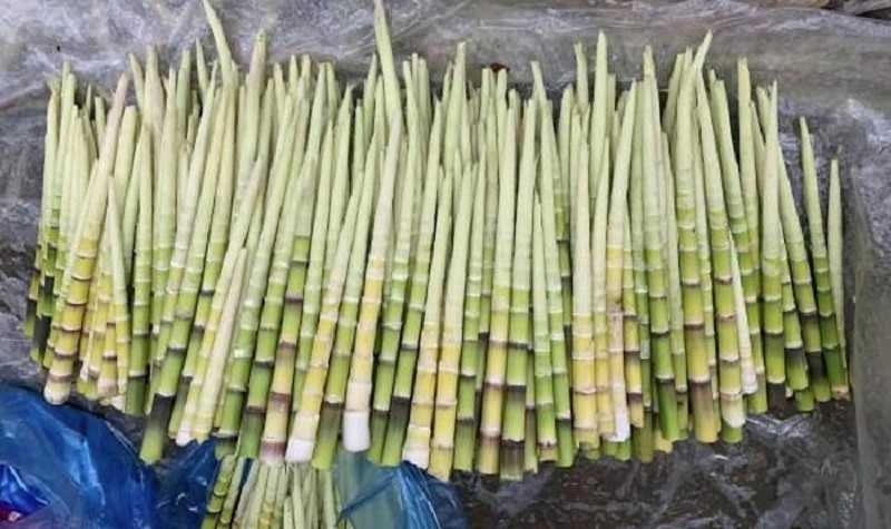 Măng sặt - món ăn dân dã, siêu sạch trở thành đặc sản được nhiều chị em nội trợ tìm mua suốt tuần qua-2