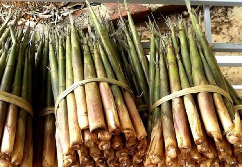 Măng sặt - món ăn dân dã, siêu sạch trở thành đặc sản được nhiều chị em nội trợ tìm mua suốt tuần qua-3