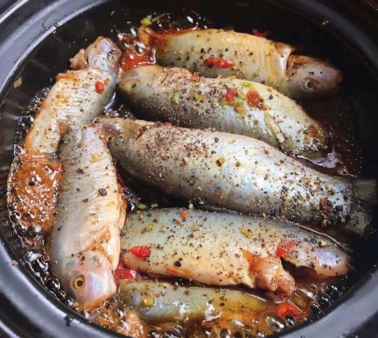 Loài cá lạ giá 800 nghìn đồng/kg vẫn không có hàng để bán-4