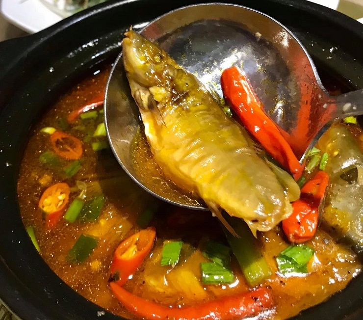 Loài cá lạ giá 800 nghìn đồng/kg vẫn không có hàng để bán-5