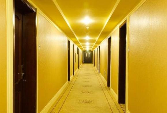 Khi ở trong khách sạn vào ban đêm, tại sao bạn nên cố gắng bật đèn nhà vệ sinh? Hầu hết mọi người không quan tâm-6